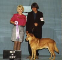 Judge Betty Umberto, Joyce Maley and Mackenzie