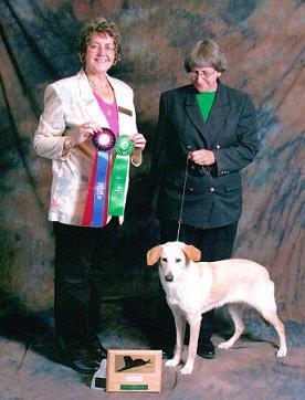 Sydney's National Best of Breed show picture
